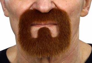 Moustache and Goatee | Auburn