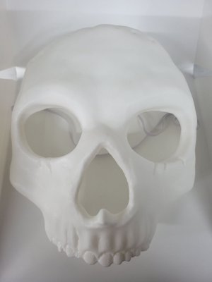 Skull Half Mask