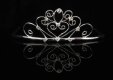 Silver Princess Tiara