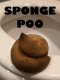 Sponge Poo (Wong)