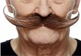 Brown English Gent Moustache