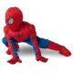 Premium Marvel Spider Man Medium