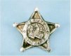 Small Sheriff Badge