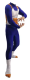 Dragon Ball Z Vegeta | X-Large