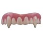 Billy Bob Teeth | Vampire