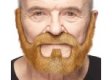 Classic Beard Moustache Set | Auburn