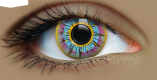Primal Contact Lenses | Aztec