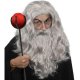 Deluxe Wizard Beard and Wig Set Grey