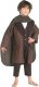 Lord of the Rings Frodo Baggins Medium