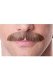 Pencil Moustache | Medium Brown Red