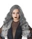 Dark Angel Wig
