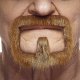 Goatee Moustache | Auburn