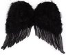Angel Feather Wings Large | Black