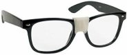 Nerd Eye Glasses