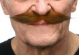 Hipster Moustache | Auburn