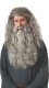 Gandalf | Wig and Beard Kit