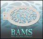 BAM3013