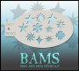 BAM3010