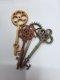 Assorted Steampunk Keys