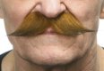 English Moustache | Auburn