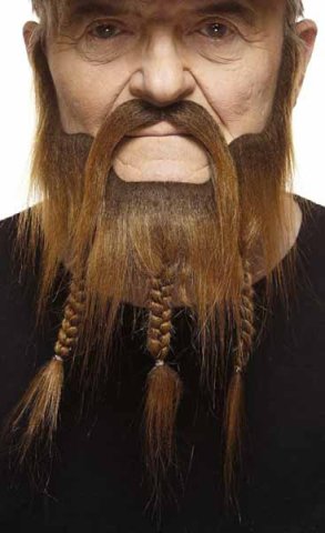 Short Beard with Braids and Moustache | Medium Brown