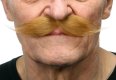Hipster Moustache | Light Brown