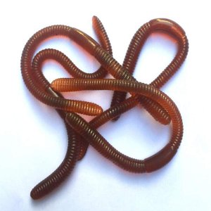 Earthworms 8pk