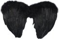 24 Inch Feather Wings | Black