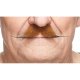 Small English Moustache | Auburn Brown