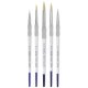 Artist 5 Piece Brush Set | Round