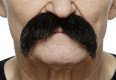 Bushy Walrus Moustache | Black