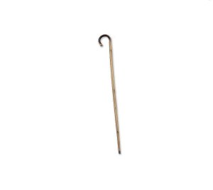 Bamboo Cane