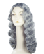 Long Wavy Wig | Grey