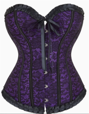 Purple and Black Lace Vampire Corset | Small