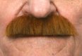 Painters Brush Moustache | Auburn