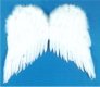 Angelic Feather Wings White