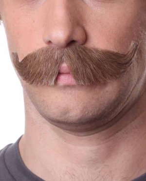 Natural Handlebar Moustache | Grey