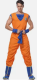 Dragon Ball Z Krillin | Medium