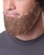 Full Chin Beard | Grey