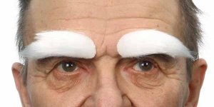 Eyebrows | Pure White