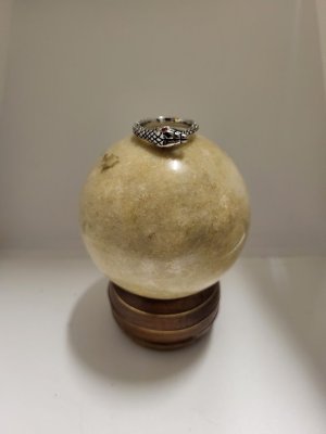 Ouroboros Ring | Size 6