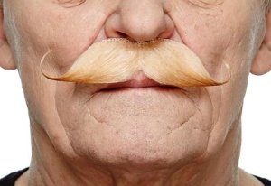Curled Dapper Moustache | Blonde