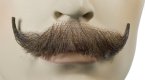 Human Hair English Moustache Black