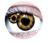 Primal Contact Lenses | Mutation