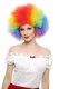 Clown Wig | Rainbow