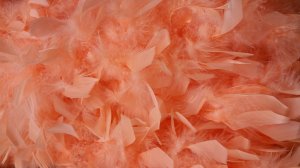 Boa Deluxe Peach