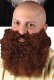 Big and Curly Beard | Brown