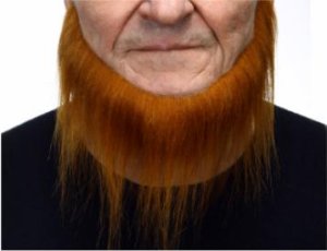 Jawline Beard long Ginger strawberry