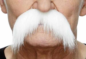 Bushy Walrus Moustache | White