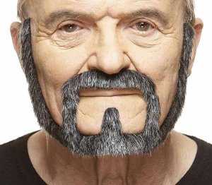 Moustache Goatee and Beard | Salt and Pepper